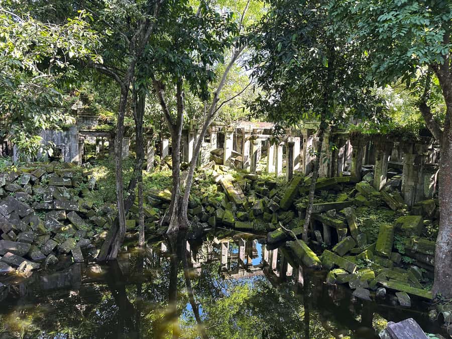 From Siem Reap: Half-Day Tour to Beng Mealea Temple - Key highlights worth your attention