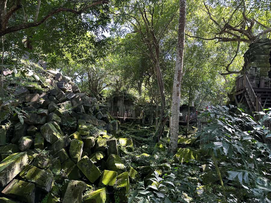 From Siem Reap: Half-Day Tour to Beng Mealea Temple - Who should book this Beng Mealea half-day?