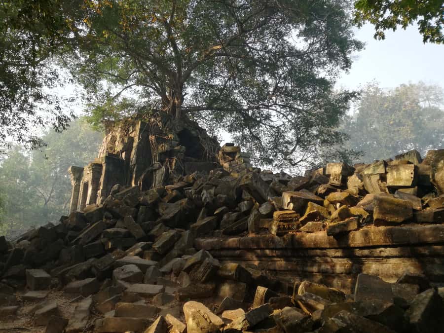 From Siem Reap: Half-Day Tour to Beng Mealea Temple - Beng Mealea’s jungle effect: why it feels different