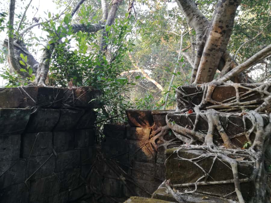 From Siem Reap: Half-Day Tour to Beng Mealea Temple - The half-day rhythm: timing, start times, and why 4 hours works