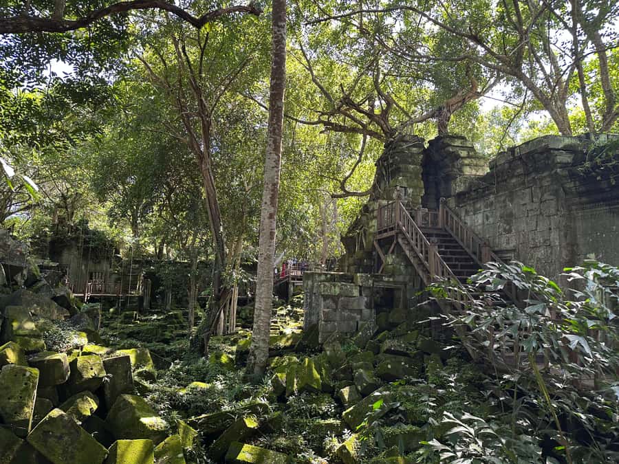 From Siem Reap: Half-Day Tour to Beng Mealea Temple - Price and value: what you’re paying for at $130