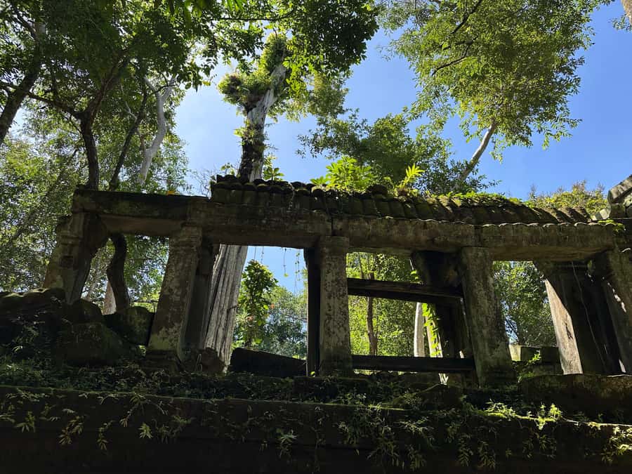 From Siem Reap: Half-Day Tour to Beng Mealea Temple - What to bring (and what not to do) for a smoother visit