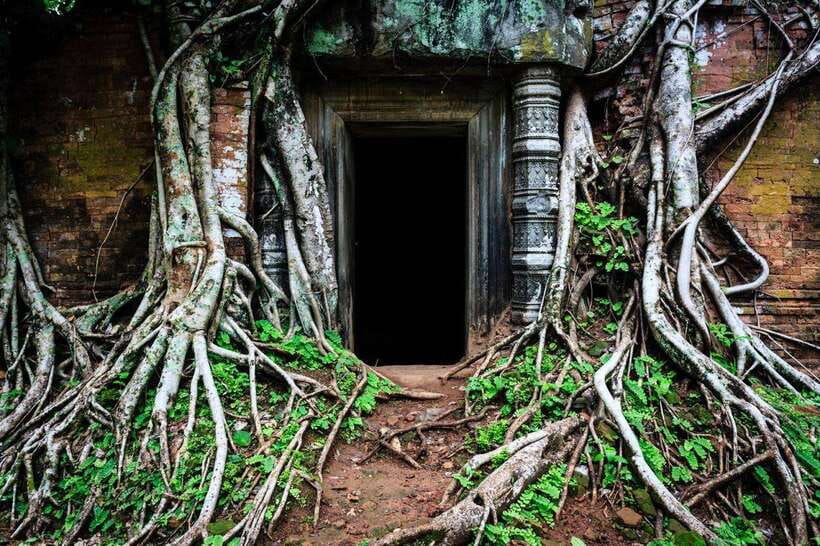 From Siem Reap: Koh Ker and Beng Mealea Temples Tour - Lunch Break: Simple Food, Your Choice, Real Calm