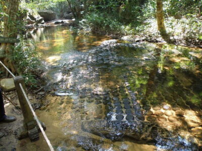 From Siem Reap: Small-Group Phnom Kulen Waterfall Day Tour - River of a Thousand Lingas: A Stop That Changes Your Perspective