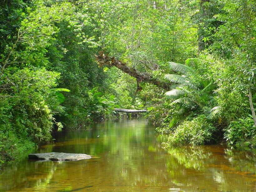 From Siem Reap: Small-Group Phnom Kulen Waterfall Day Tour - Price and Value: $59 Plus Entrance Fees and the Real Cost of the Day