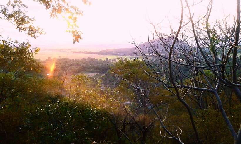 Full-day: Handicraft, Bamboo train, Killing cave, Bat Cave - Who This Tour Fits Best (and Who Should Skip It)