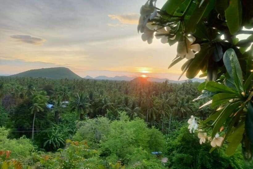 Full-day: Original bamboo train, Wat Banan, Phnom Sampov - Killing Cave and Bat Cave sunset: history first, then a calmer ending