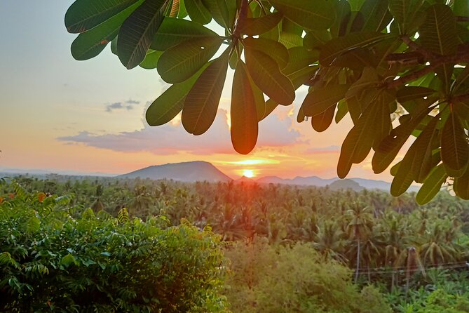 Full Day tour .City tour.Countryside.Bamboo Train.Secret Bat Cave - Battambang Day-Trip Flow: How the 8–9 Hours Actually Feel