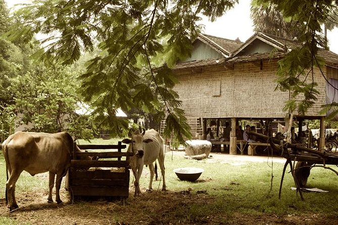 Full-day: Wat Banan. Old bamboo train. Bat Cave. Killing cave - Battambang at Bike Speed: A Small-Group Day With Tuk-Tuk Transfers