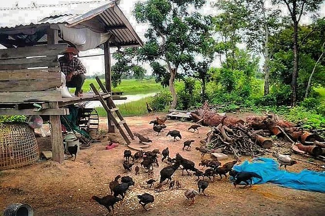 Full-day: Wat Banan. Old bamboo train. Bat Cave. Killing cave - Sampov Mountain Caves: Bats Above, the Killing Cave Below