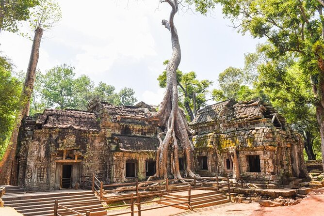 Half Day Angkor Wat Tour - Morning or Afternoon from Siem Reap - Key highlights at a glance