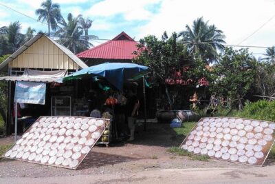 Half day morning bicycle tour to Explore local livelihood and test local snacks - Morning logistics that affect comfort: pickup, timing, and the biking roads