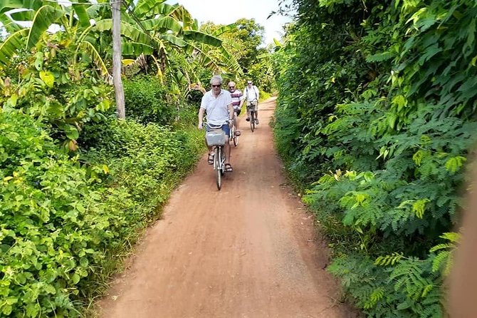Half day morning bicycle tour to Explore local livelihood and test local snacks - Wat Ek Phnom: old temple vibes, big Buddha, and the ride back to town