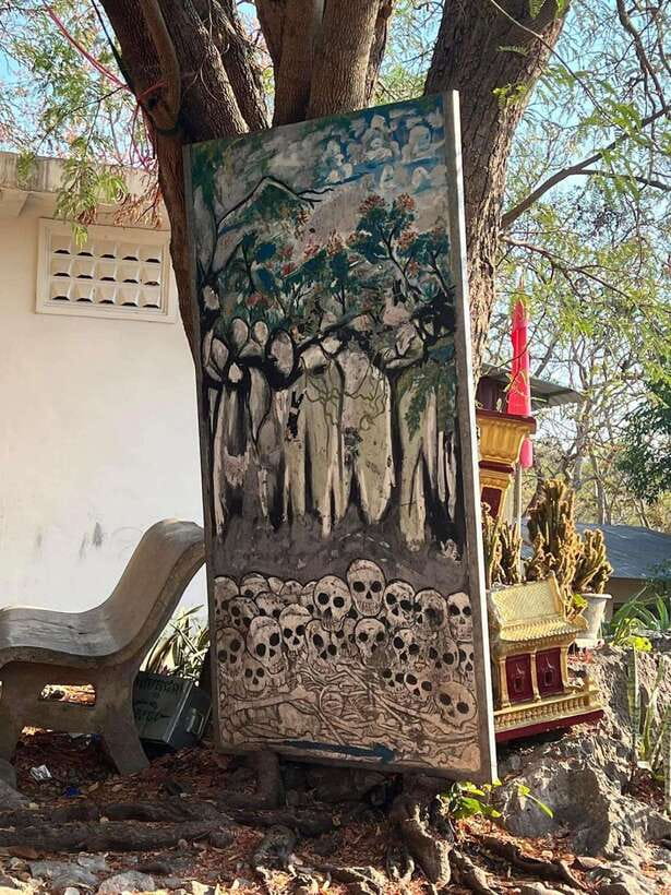 Half-day swing bridge, bamboo train, batcave & Killing cave - Bat Cave: wrinkle-leaf bats, timing, and what the moment looks like