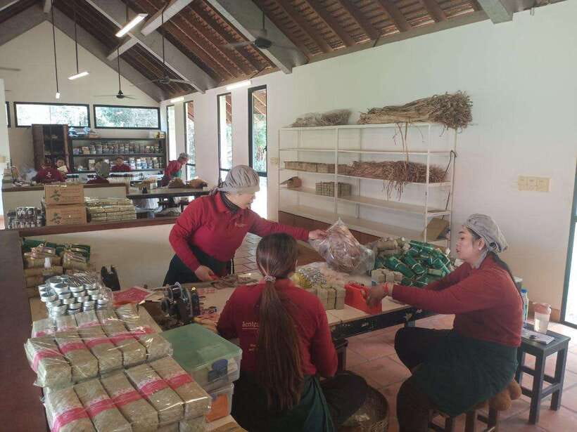 Half Day Trip: Silk Farm, Satcha, and Senteur d'Angkor Tour - Time, Price, and Value for This 4-Hour Craft Route
