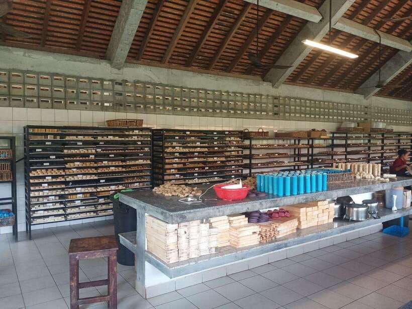 Half Day Trip: Silk Farm, Satcha, and Senteur d'Angkor Tour - Should You Book This Silk Farm and Craft Centers Half-Day Tour?