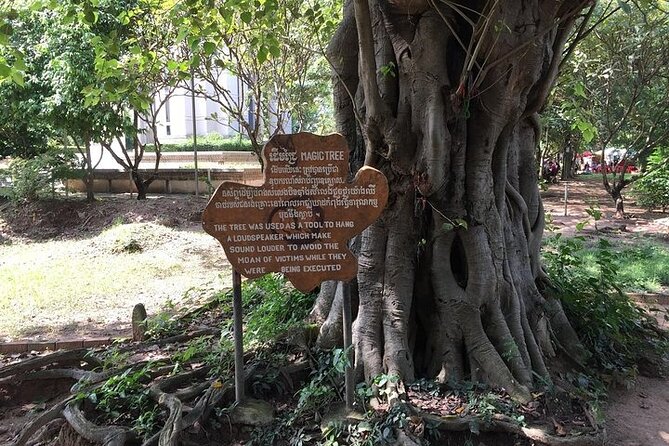 Half Day Trip to Killing Field and Genocidal Museum - Should You Book This Tuol Sleng and Choeung Ek Tour?
