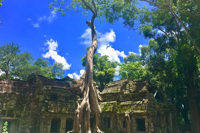 Highlight of Angkor Complex 2 Days Private Tour - Who should book this Angkor Complex 2-day private tour