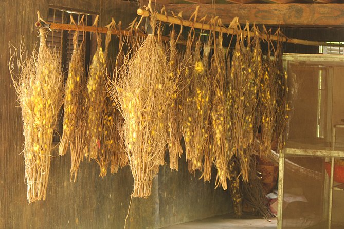 Island Community Life in Phnom Penh - Step-by-Step Itinerary: What Happens During the 4 Hours