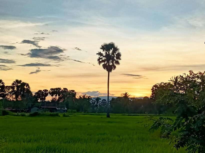 Kampot Countryside include Pepper farm,Kep crab market beach - Price and What You Actually Get for $50 (Up to 2)