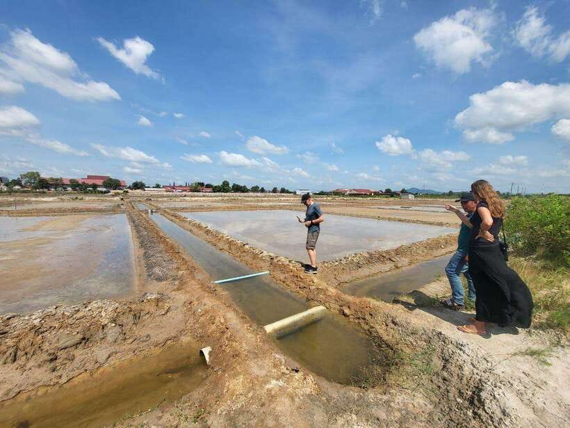 Kampot Pepper Farm, Salt Fields, Crab Market from Phnom Penh - The guides and comfort factor that show up in real reviews