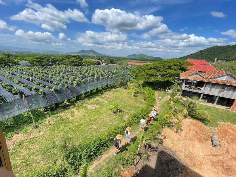 Kampot Pepper Farm, Salt Fields, Crab Market from Phnom Penh - Price and value: what $87 covers (and what it doesn’t)