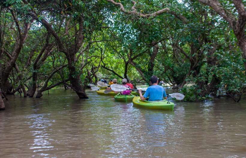 Kayaking & Floating Village in Siem Reap - Kayaking Past Floating Homes on Tonle Sap