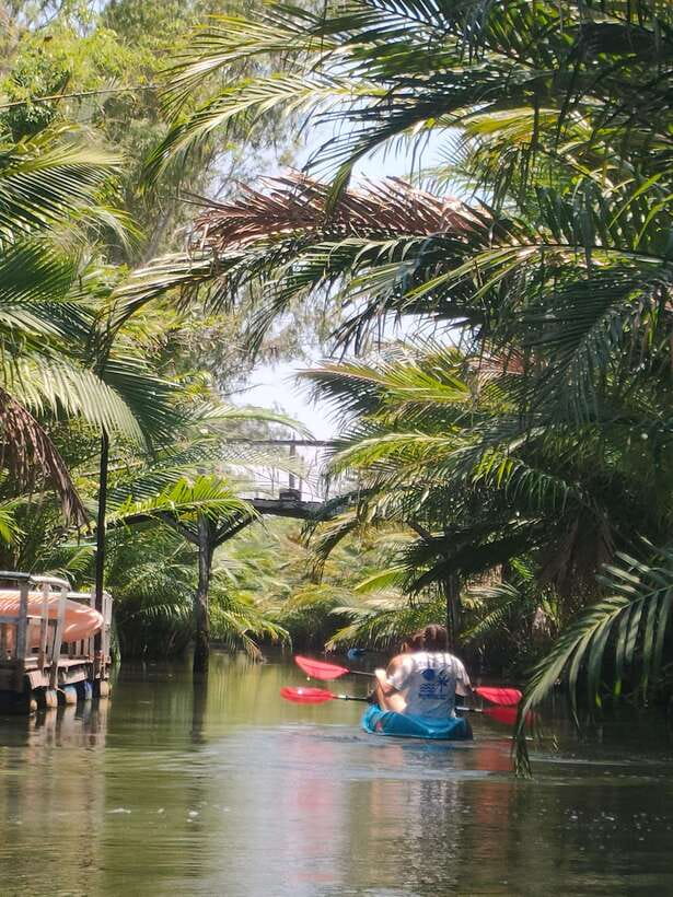 Kayaking tour around green cathedral - Tastes and treats: what’s included (and what to plan for)