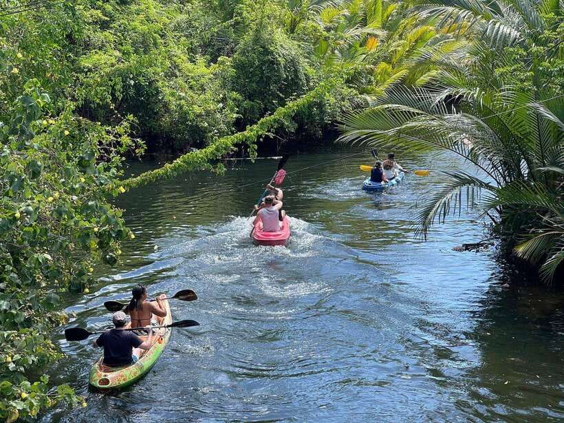 Kayaking tour around green cathedral - Meeting at Epic Arts Café, then rolling to the water