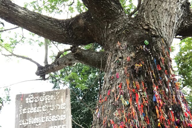 Khmer Rouge, genocide museum &killing field tour - The guide and driver style that makes the day work