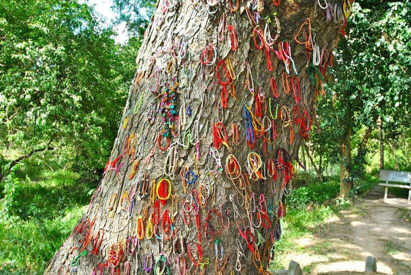 Killing Fields and S21 Half day by Private Tour - FAQ
