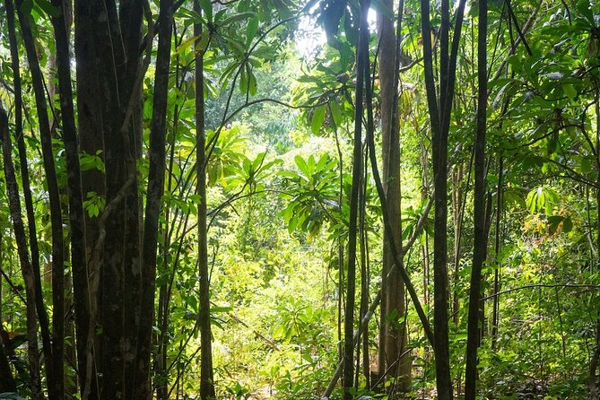 Kirirom National Park Private Day Tour from Phnom Penh - Entering Kirirom National Park and what it represents