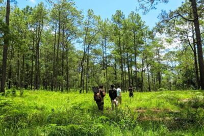 Kirirom National Park Private Day Tour from Phnom Penh - The Chankok waterfall walk: short hike, big payoff