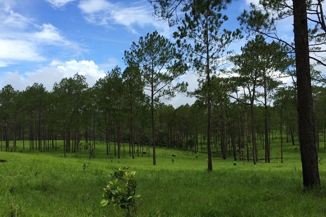 Kirirom National Park Private Day Tour from Phnom Penh - Guided hiking around lakes and forests