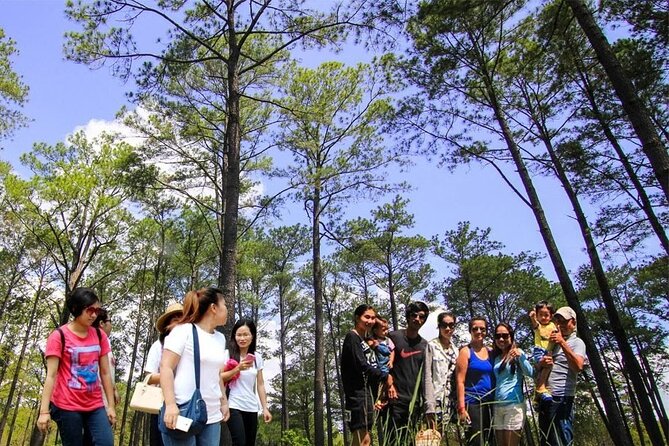 Kirirom National Park Private Day Tour from Phnom Penh - Driving up to the top: views from 675 meters