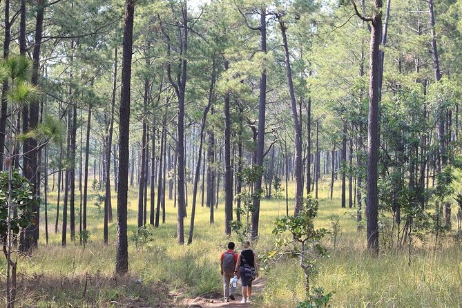 Kirirom National Park Private Day Tour from Phnom Penh - Price and value: what you’re paying for at $127 per person