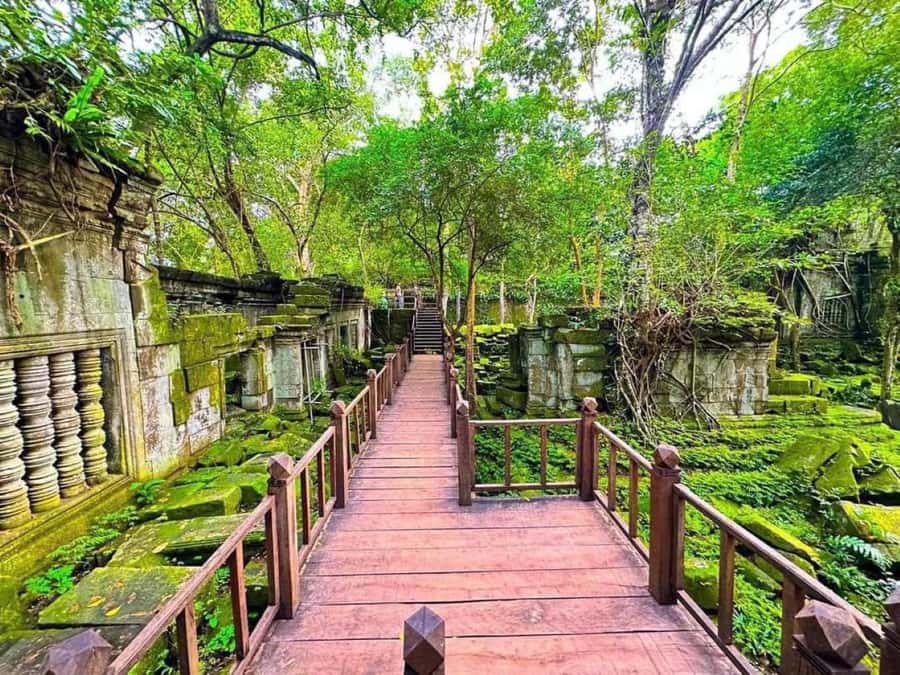 Koh Ker & Beng Mealea Temple Guided Tour - Key Highlights You’ll Feel Immediately