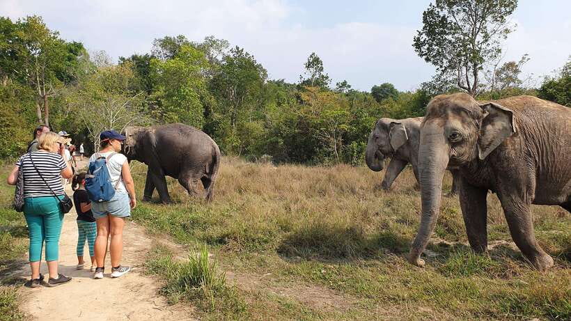 Kulen Elephant Forest & Tonlesap Lake - Quick hits before you go