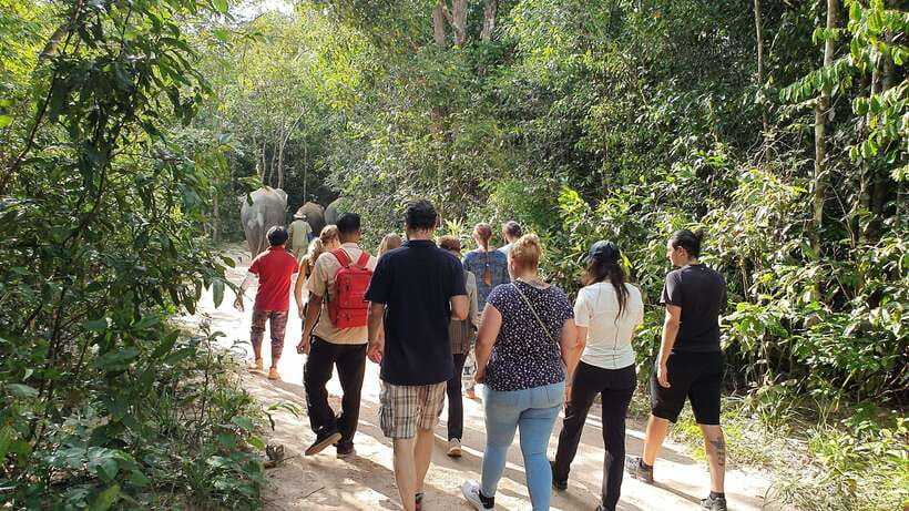 Kulen Elephant Forest & Tonlesap Lake - Should you book Kulen Elephant Forest and Kompong Phluk?