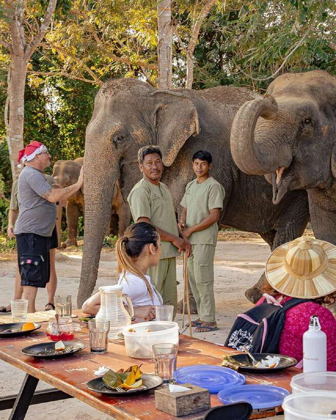 Kulen Elephant Forest & Tonlesap Lake - Kulen Elephant Forest: the moment you meet retired elephants