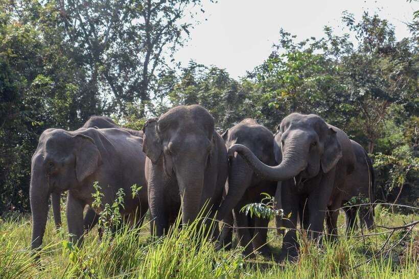 Kulen Elephant Forest & Tonlesap Lake - Leaving Kulen for Tonle Sap: the views, then the living lake