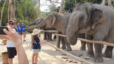 Kulen Elephant Forest & Tonlesap Lake - The 2-kilometer jungle trek: waterfalls and real footing