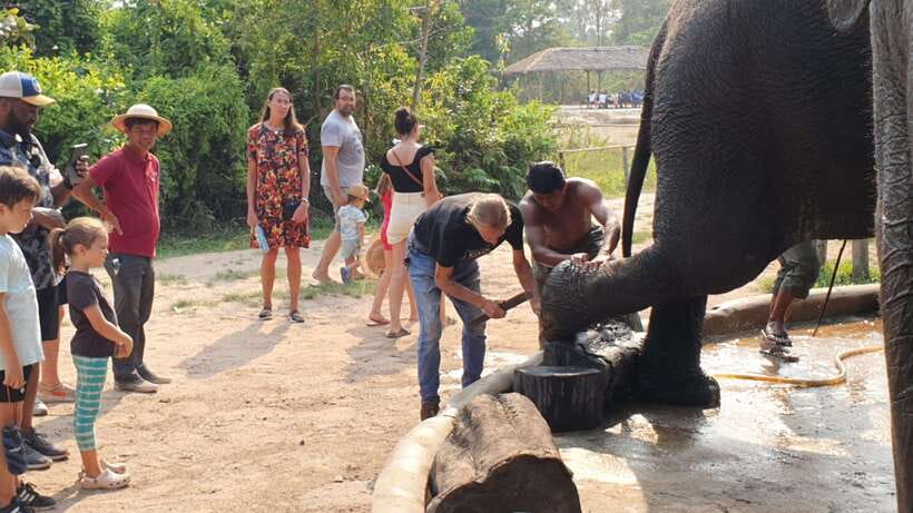 Kulen Elephant Forest & Tonlesap Lake - Kompong Phluk by boat and canoe: stilt houses and flooded forest