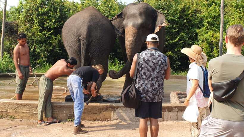 Kulen Elephant Forest & Tonlesap Lake - Guides, timing, and the “5–8 hour” rhythm
