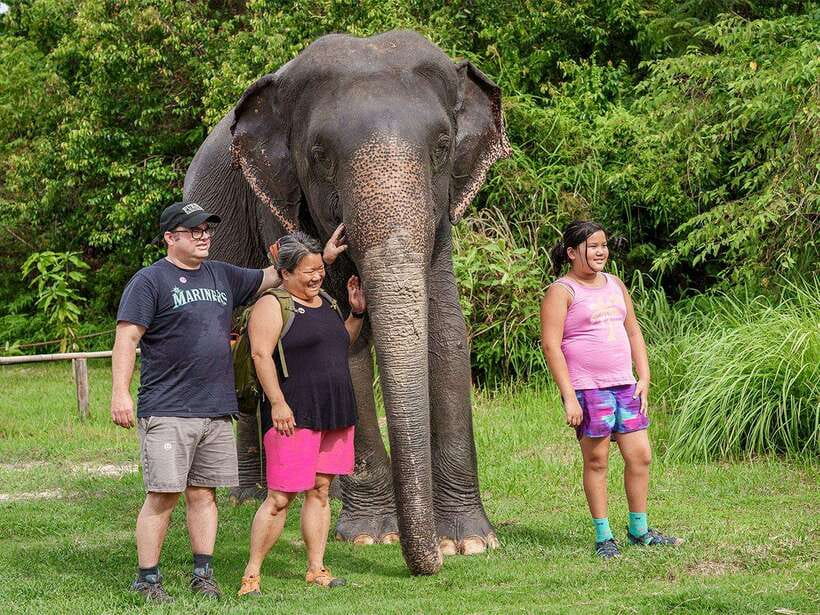 Kulen Elephant Forest Tour with Hotel Pick-up & Drop off - Pickup in Siem Reap: easy start, real-country drive