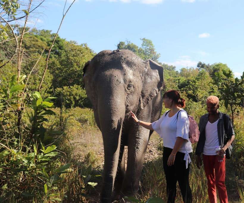 Kulen Mountain Day Trip with Picnic & Kulen Elephant Forest - First stop: rural Cambodia on the way to Phnom Kulen