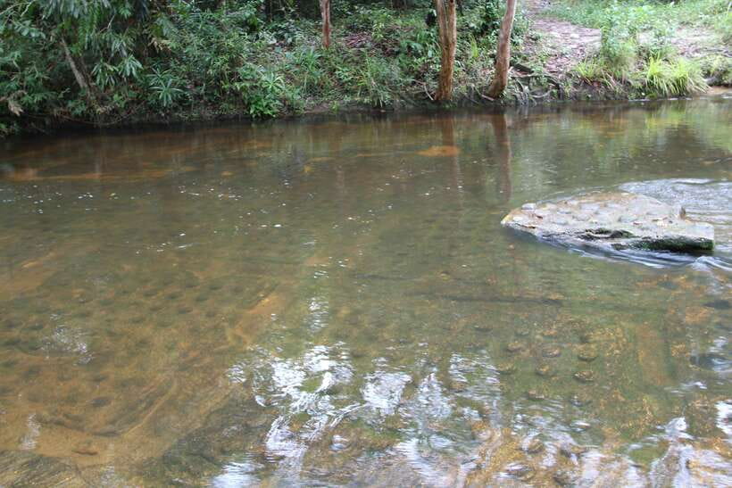 Kulen Mountain: Full-Day Private Waterfall Tour - Kulen Waterfalls and Swim Stops: The Best Part for Many Days