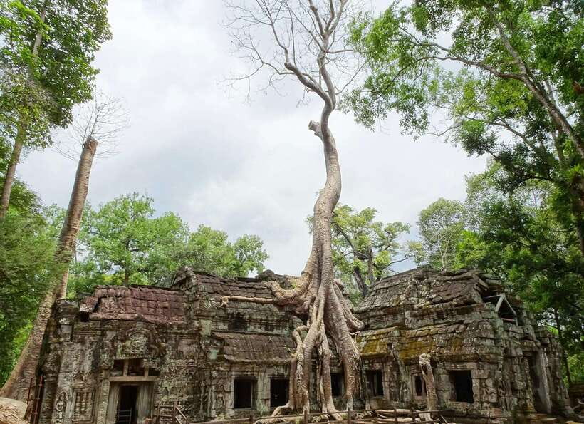 Luxury Private 2-Day Angkor Wat with English or German Guide - Who this private tour suits best (and who should rethink it)