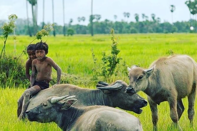 Morning Tour Bamboo Train, Ancient House, Local, Countryside - How this Battambang tour feels different from typical sightseeing