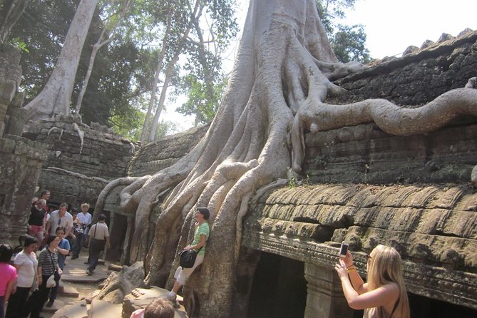 One Day Angkor World Heritage Tour - Price and value: what you’re paying for (and what you still need)